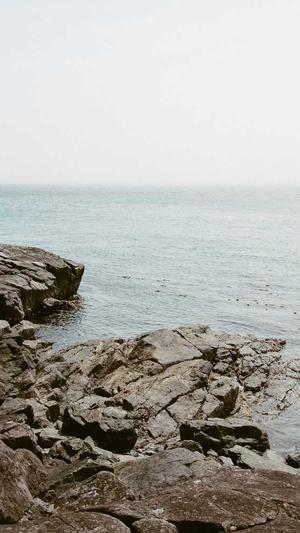 周黑鸭卤料截图3